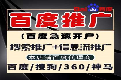 谷歌SEM案例研究：数据分析与效果评估
